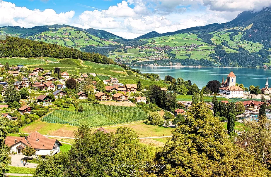 Spiez: A charming lakeside town, where vineyards meet the shores of Lake Thun, crowned by a historic castle and surrounded by alpine beauty!